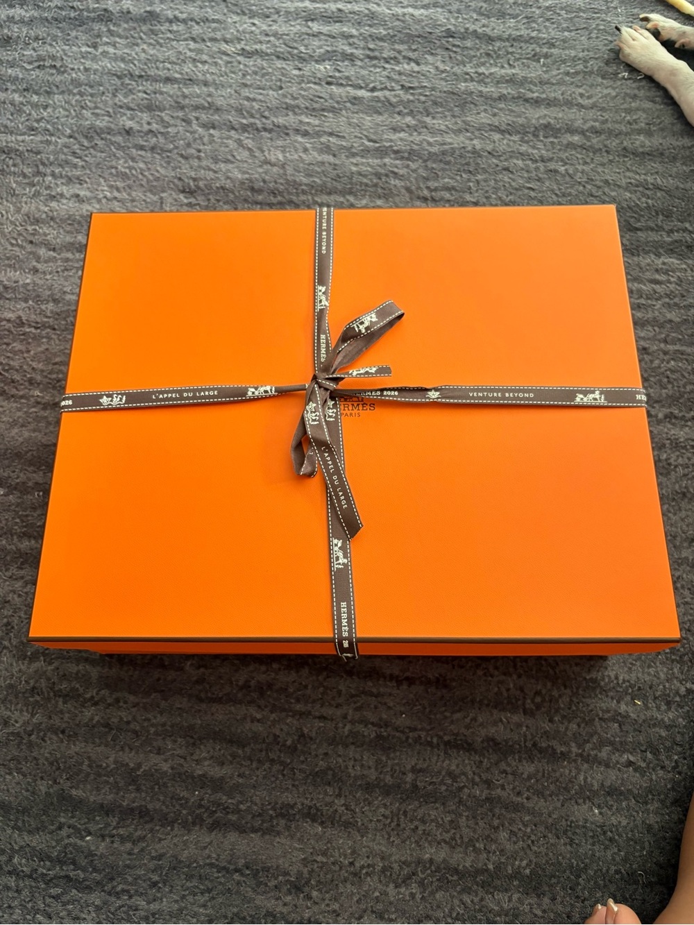 Hermes Orange Box with Brown Ribbon Detail
